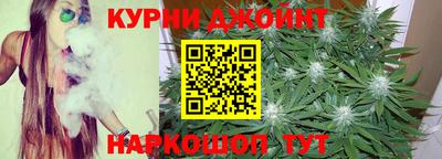 сатива Бузулук