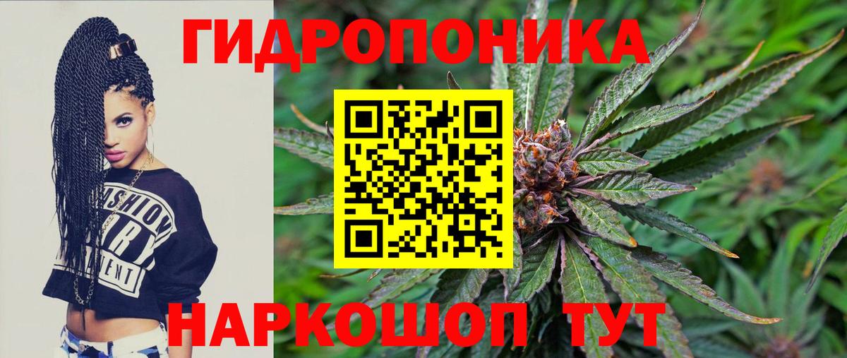 Шишки марихуана семена  Вход с VPN  Каннабис планчик  МАРИХУАНА LSD WEED  Пенза 